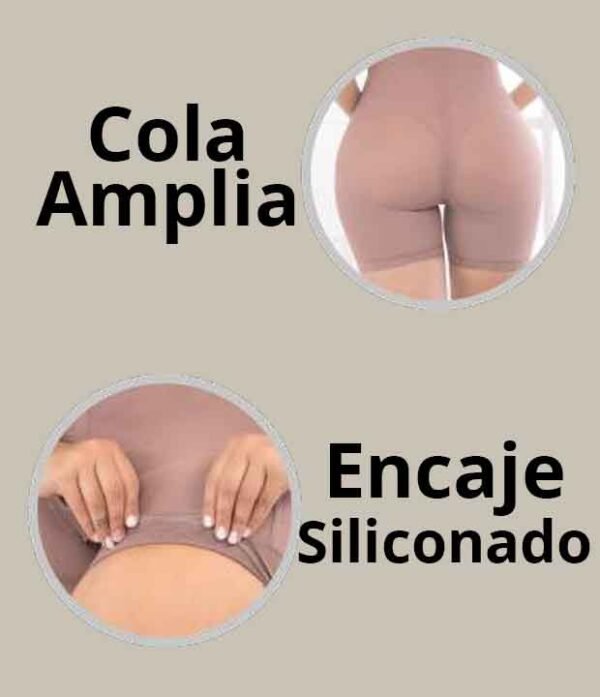 3Faja11227 Faja X2